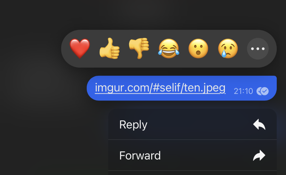 信号Signal安装电脑版